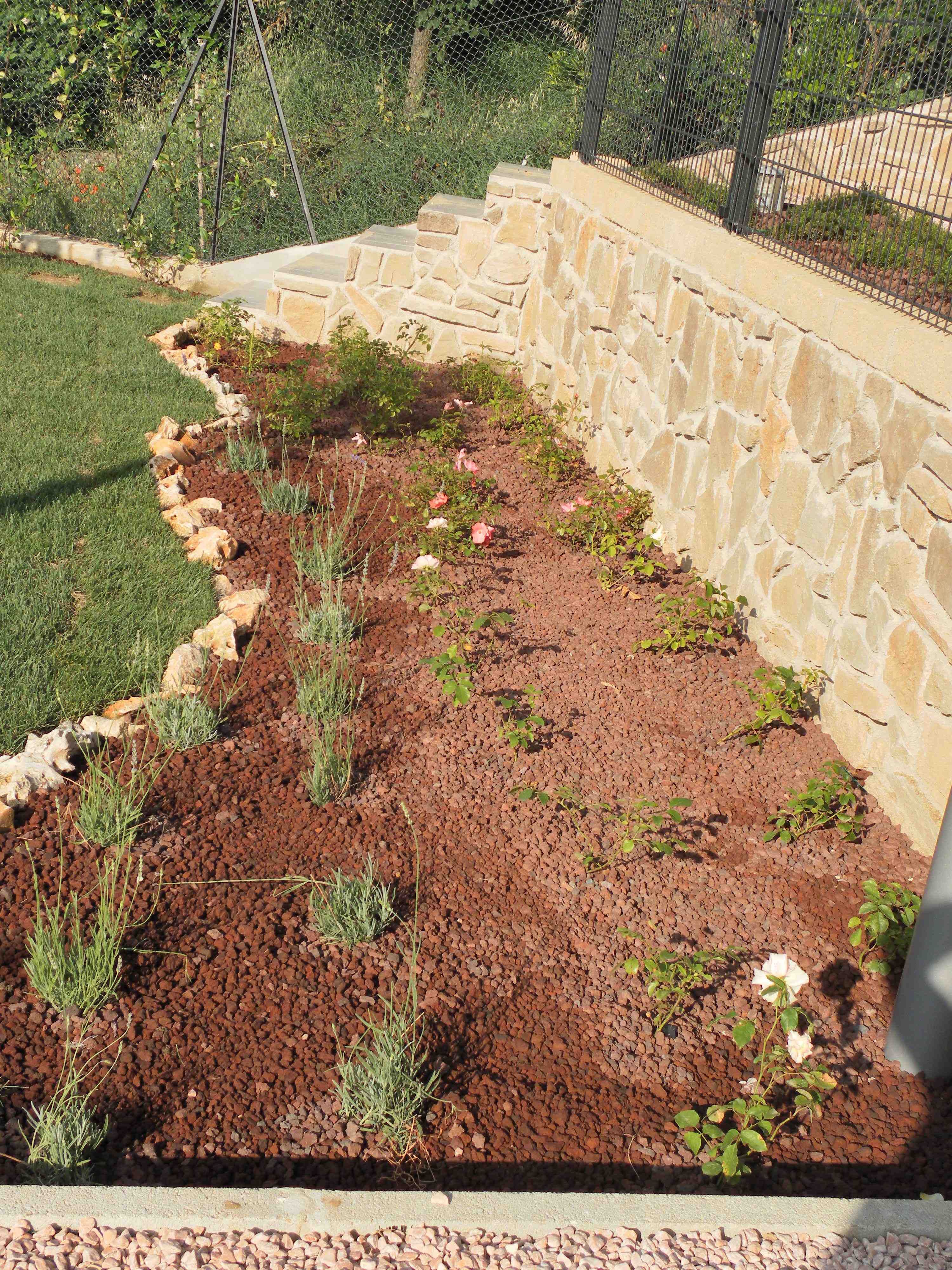 ciotoli decorativi per un giardino