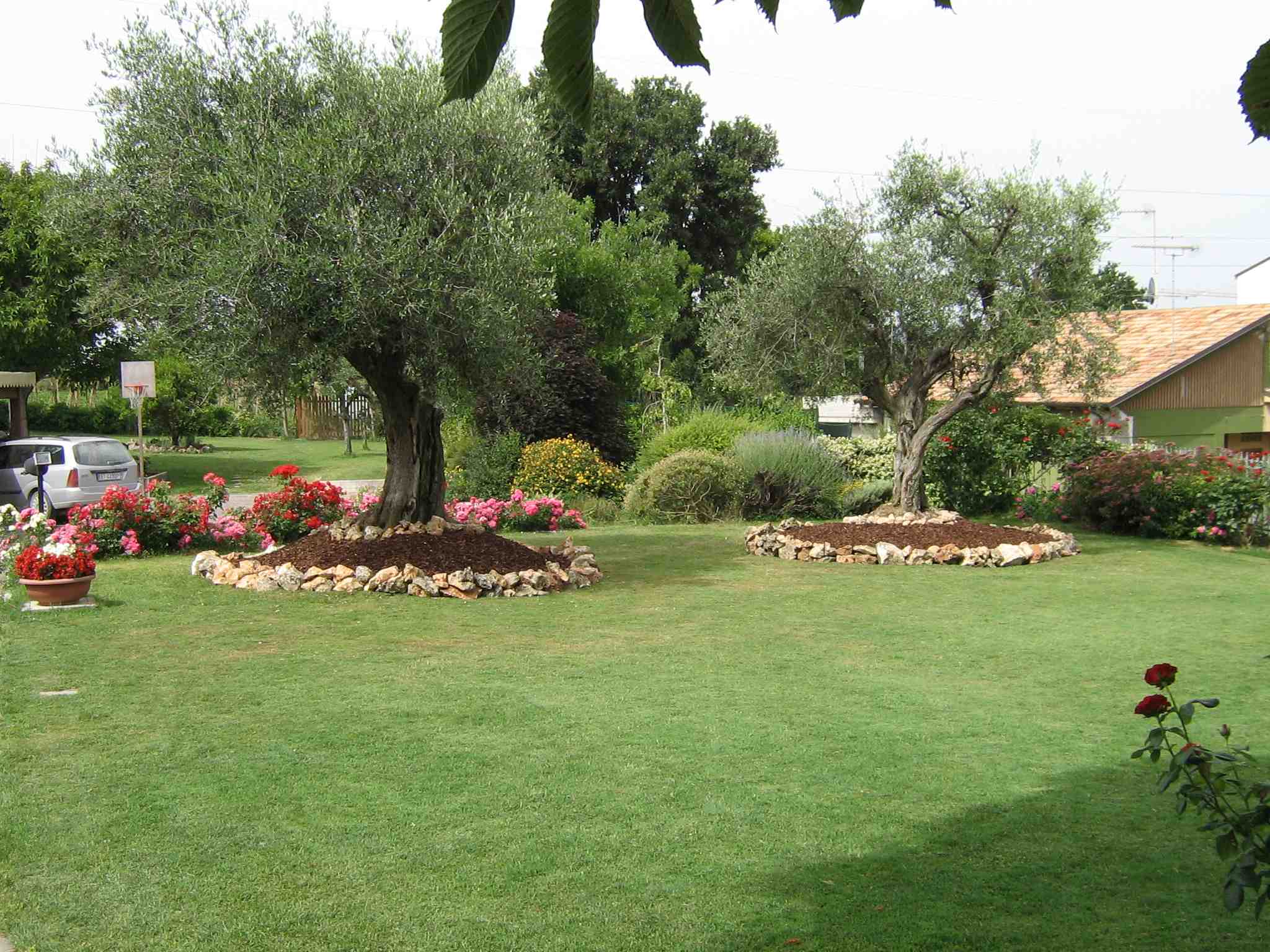 esempio di giardino con piante ornamentali