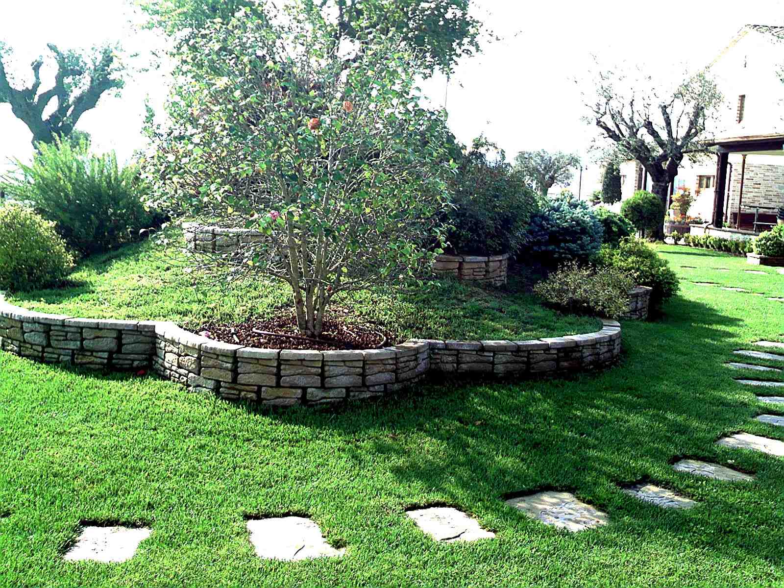 1° esempio di muretto di Green Garden Pesaro